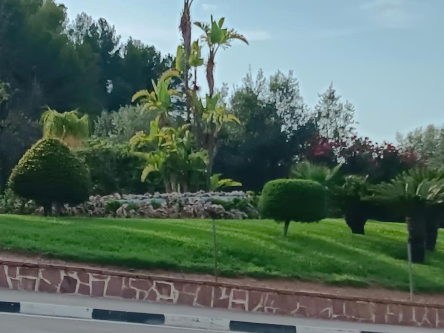 Gilet Senderismo Bici Parking 20 Min Valencia Apartment Екстериор снимка